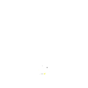 uy555